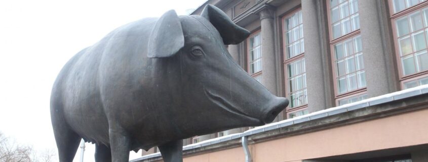 turusiga-roosi-tartuturg-turuhoone