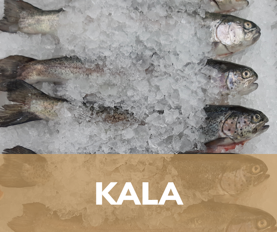 kala kala-tartu-turg-turuhoone