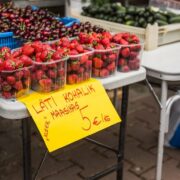 avaturg-maasikad-maasikas-tartu-turg-turg